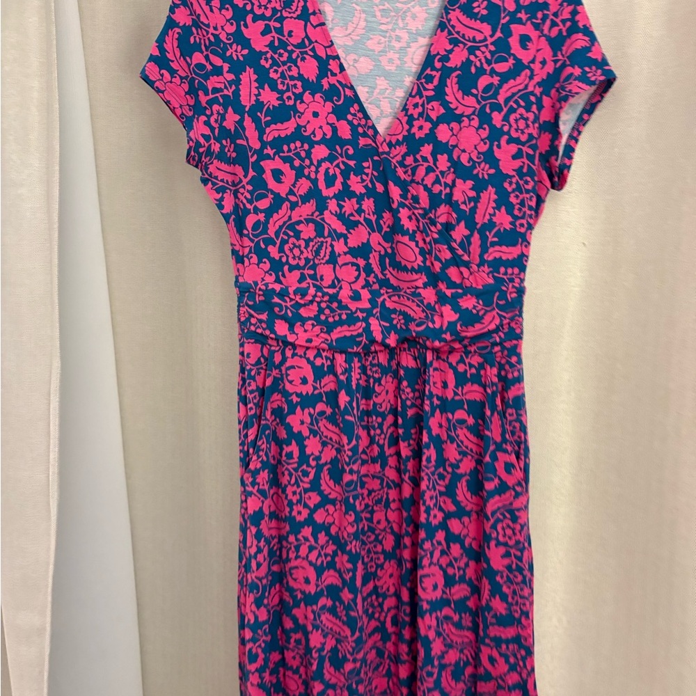 Biden Pink and Blue Women's Dress